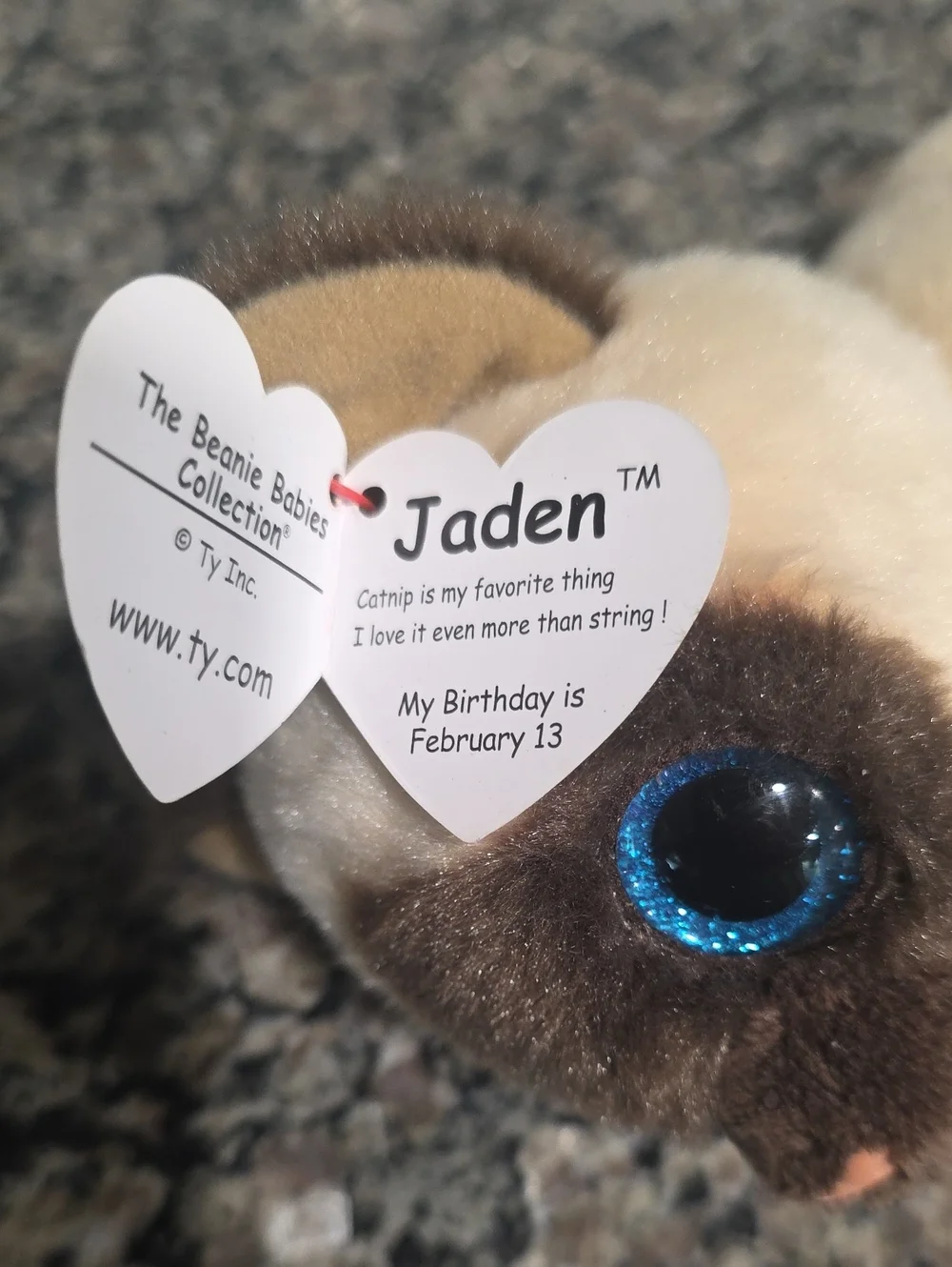 Ty Beanie Babies Jaden Siamese Kitten - Cream and Brown - Picture 4 of 5